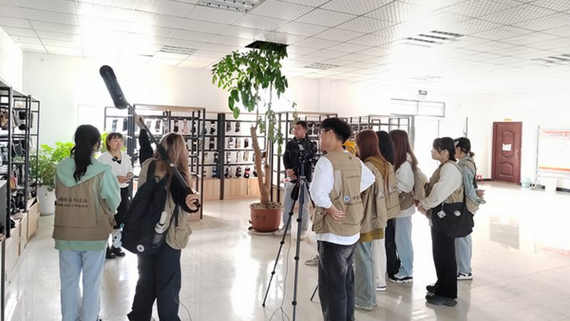 媒介投放与广告投放：案例分析，辨析差异