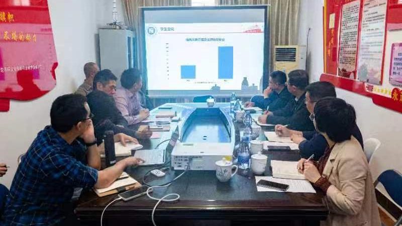 二维MG动画与三维MG动画：一场视觉技术的对决