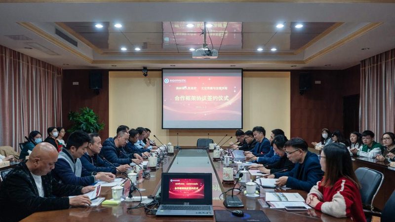 短视频与微电影画质要求对比：画质背后的技术考量