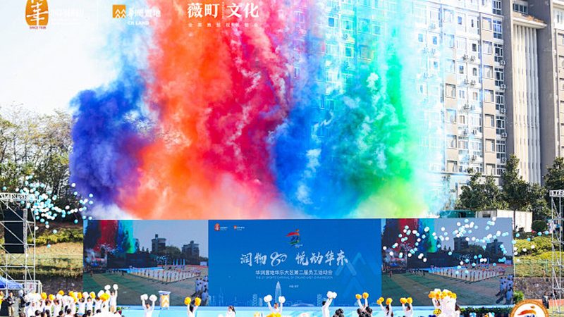 品牌策划与设计报价：揭秘背后的逻辑与考量